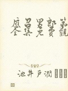 应召男郎第6季全集免费观看封面