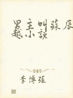 男主叫苏辰的穿越小说