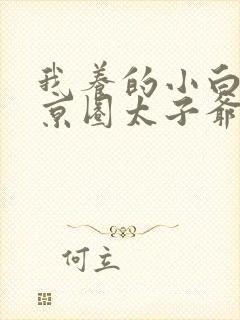 我养的小白脸是京圈太子爷短剧下载