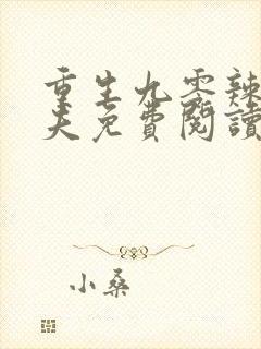 重生九零辣妻追夫免费阅读封面