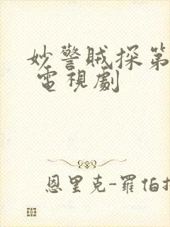 妙警贼探第二季 电视剧