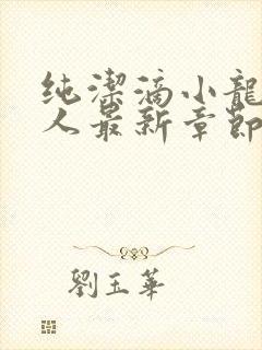 纯洁滴小龙捞尸人最新章节更新