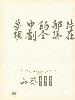 梦中的那片海电视剧全集在线观看