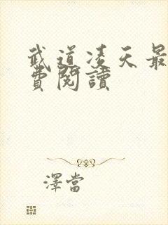 武道凌天最新免费阅读