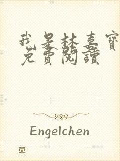 我是林喜宝小说免费阅读