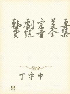 韩剧完美妻子免费观看全集