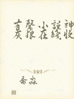 有声小说神墓大灰狼在线收听