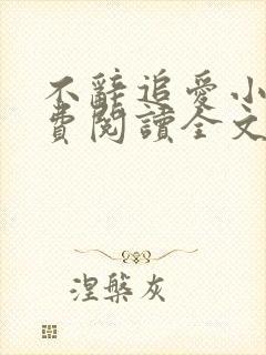 不辞追爱小说免费阅读全文最新章节