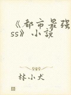 《都市最强boss》小说