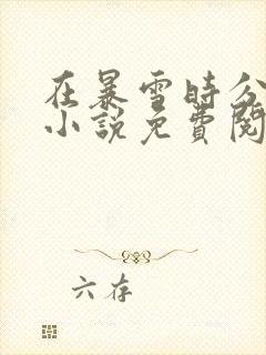 在暴雪时分全本小说免费阅读