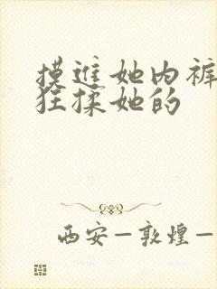 摸进她内裤里疯狂揉她的