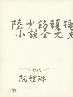 陆少的头号宠婚 小说全文免费阅读