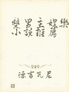 双男主娱乐圈文小说推荐封面