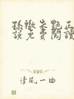 孙辙朱艳正版小说免费阅读