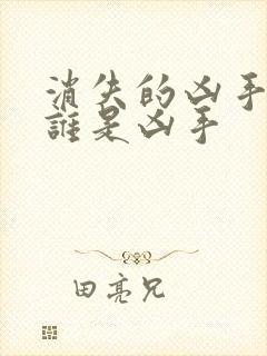 消失的凶手结局谁是凶手封面