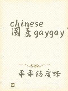 chinese国产gaygay男男网站