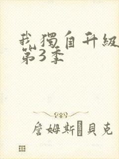 我独自升级动漫第3季