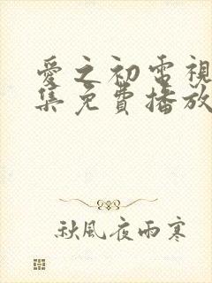 爱之初电视剧全集免费播放