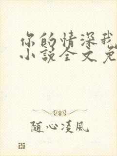 你的情深我不配小说全文免费阅读