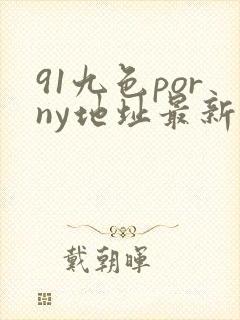 91九色porny地址最新