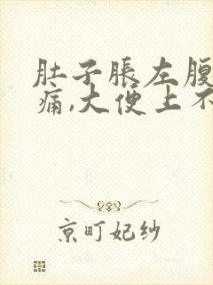 肚子胀左腹部疼痛,大便上不出来