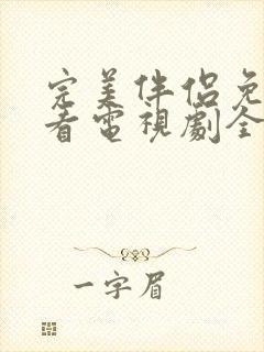 完美伴侣免费观看电视剧全集封面