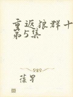 重返狼群十周年第5集