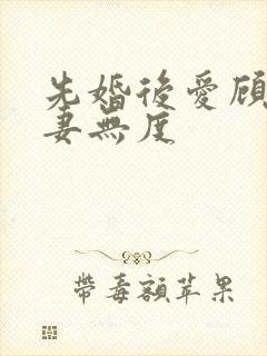 先婚后爱顾总宠妻无度