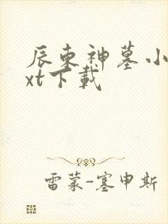 辰东神墓小说txt下载