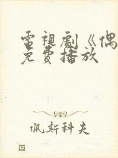 电视剧《偶然》免费播放