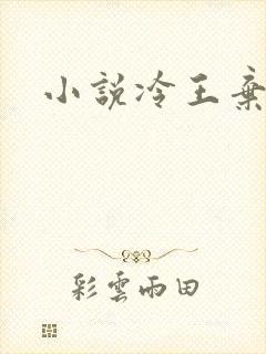 小说冷王弃妃