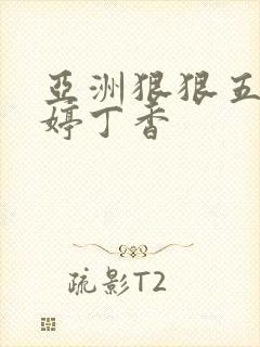 亚洲狠狠五月婷婷丁香封面