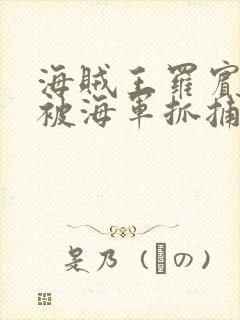 海贼王罗宾娜美被海军抓捕的漫画叫封面