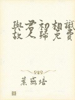 与君初相识恰似故人归免费观看完整版封面