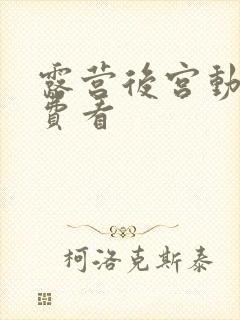 露营后宫动漫免费看