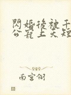 闪婚后被千亿老公宠上天短剧免费播放