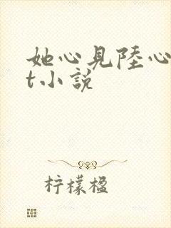 她心见陆心txt小说