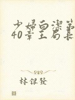 少妇白洁第1一40章王局长