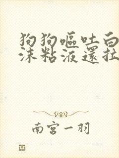 狗狗呕吐白色泡沫粘液还拉稀