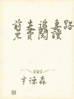 前夫追妻路漫漫免费阅读封面