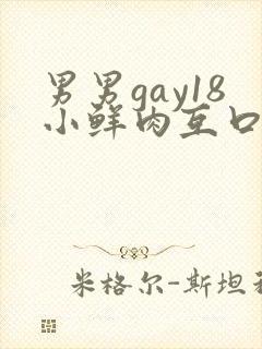 男男gay18小鲜肉互口1