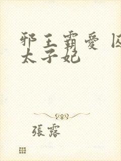 邪王霸爱 囚情太子妃