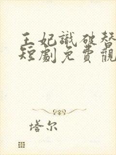 王妃识破替身局短剧免费观看