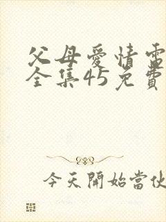 父母爱情电视剧全集45免费看