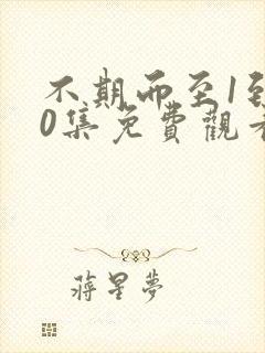 不期而至1到40集免费观看电视剧