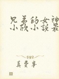 兄弟的女神女友小欣小说最新章节更