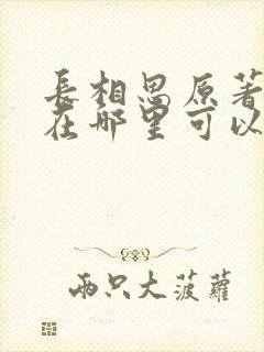 长相思原著小说在哪里可以看