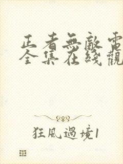 正者无敌电视剧全集在线观看免费