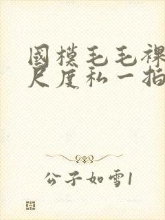 国模毛毛裸体大尺度私一拍