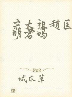 宋太祖赵匡胤是明君吗